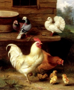 Hen, Art
