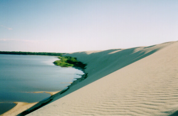 Nida's Great Dune