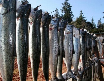 Fishes and fishery