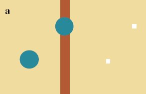 Eye blind spot: Filling in
